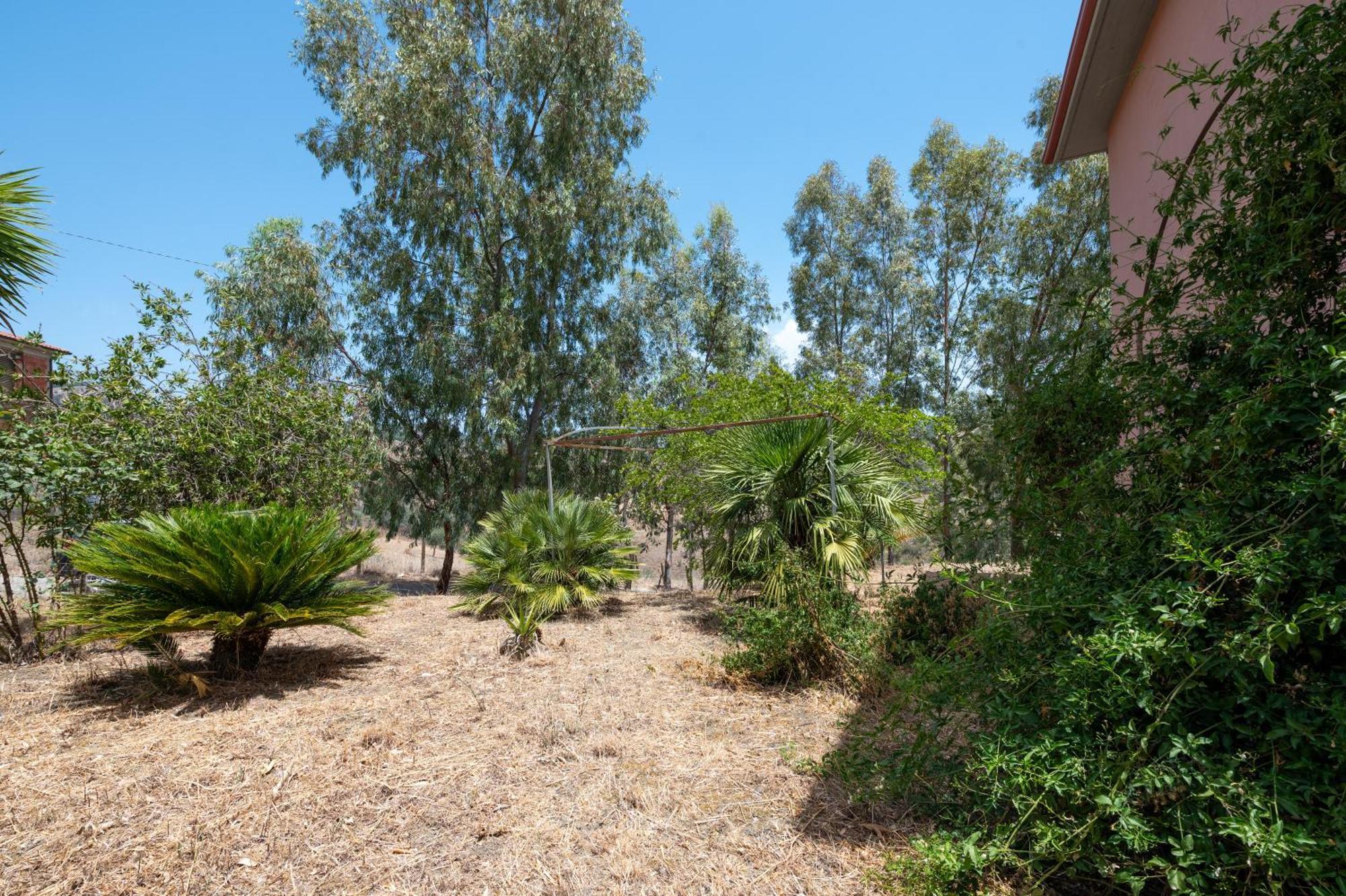 Villa Filippa Nicosia Εξωτερικό φωτογραφία